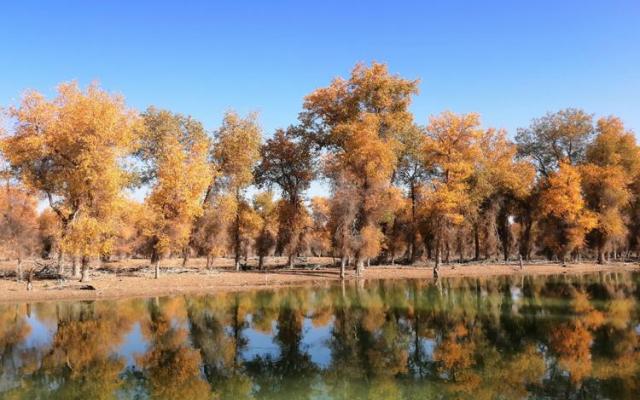 武汉出发乌鲁木齐集合南疆10日落地自驾游：穿越沙漠公路-胡杨林公园-享新疆美食-游老城的大街小巷10日自驾游