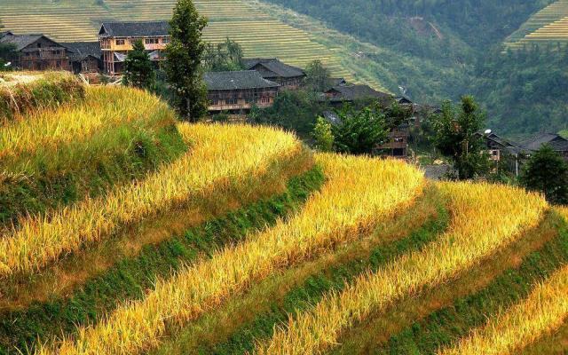 阳朔集合桂林阳朔龙胜5日自驾路书：阳朔兴坪漓江-银子岩-象鼻山-龙脊梯田5日自驾游