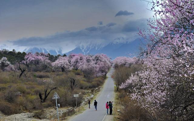 林芝自驾游,林芝自驾游攻略,林芝自驾游路线推荐